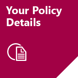 Policy Details